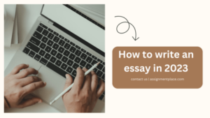 Read more about the article How to write an essay in 2023