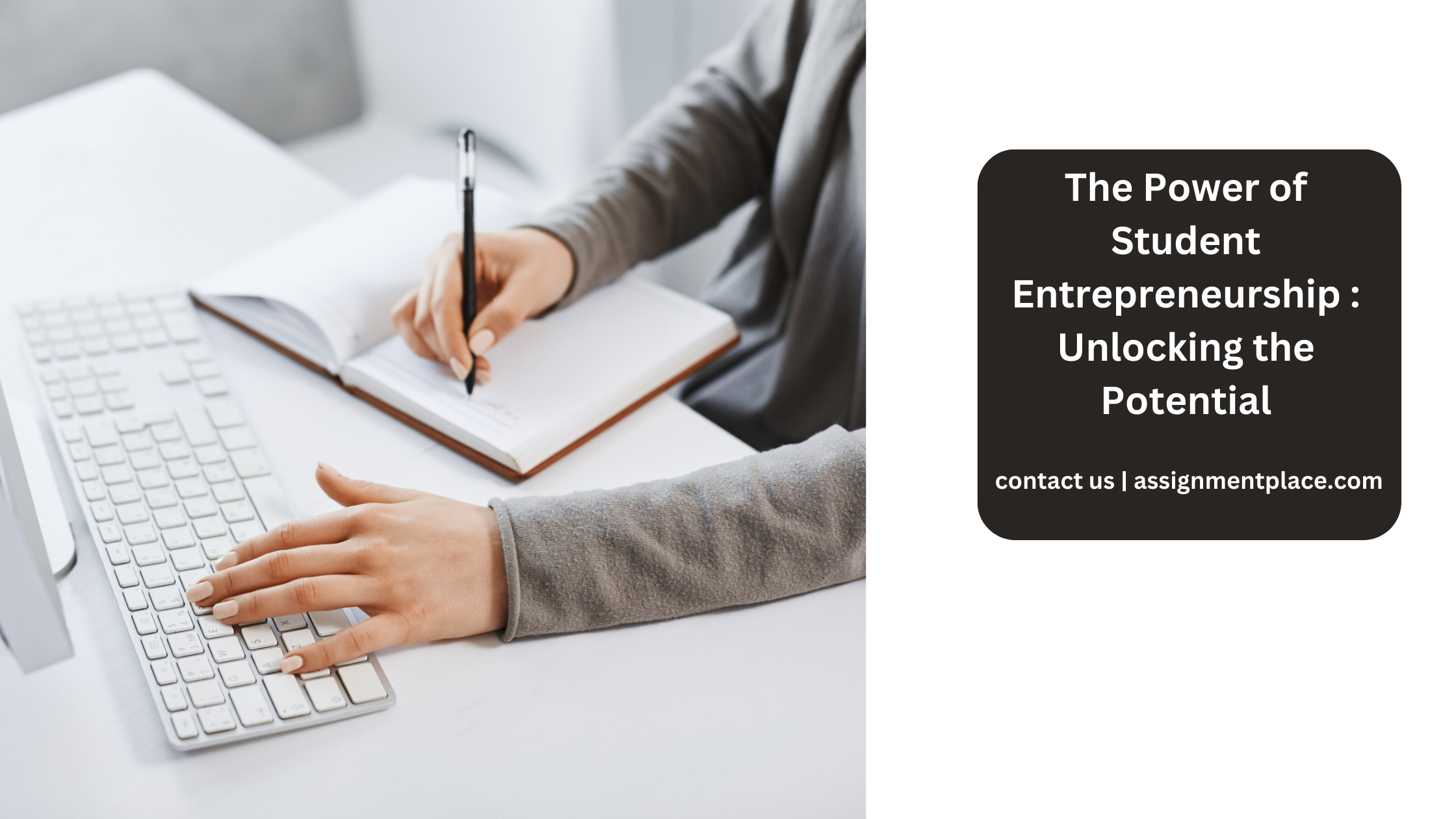 Read more about the article The Power of Student Entrepreneurship : Unlocking the Potential